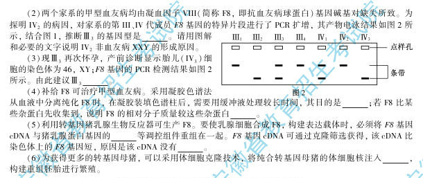 理综8