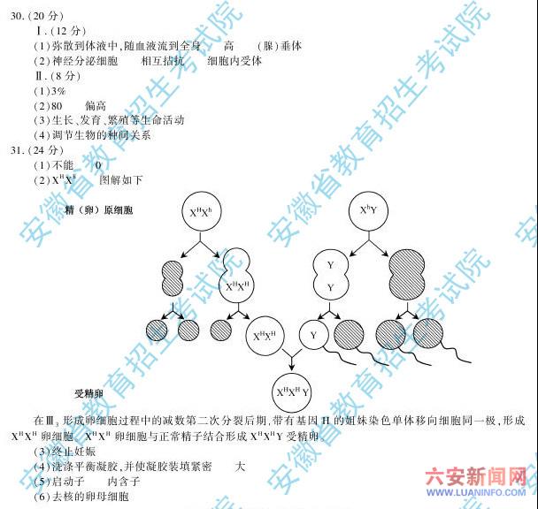 理综12