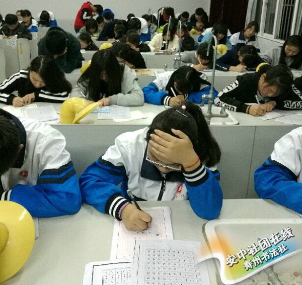 书法社2 书法社2